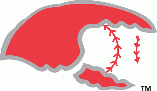 Hickory Crawdads 1993-2015 Secondary Logo iron on transfers for clothing